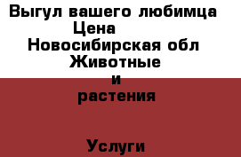 Выгул вашего любимца › Цена ­ 100 - Новосибирская обл. Животные и растения » Услуги   